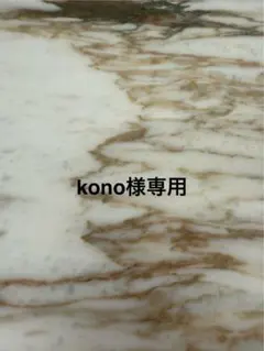 kono様専用