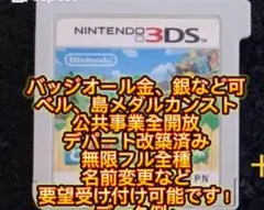 とびだせどうぶつの森　神データ金道具　無限フル　大量要望受付