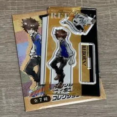 家庭教師ヒットマンREBORN! アクリルフィギュア＆チャーム コレクション