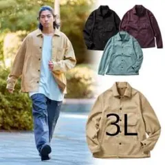 Item thumbnail for item 968d91ae-094f-4f16-a082-c94b35b2a2bd