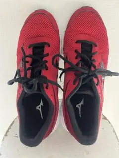 Item thumbnail for item b088c6e4-669c-4b84-b1b4-a2e31530a303