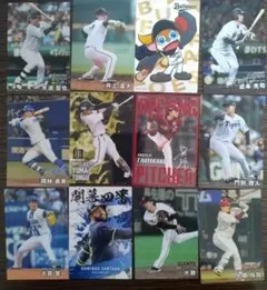 プロ野球チップスカード　12枚