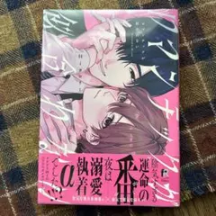 Hiカロリー ロマンチックが似合わない①