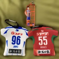 Item thumbnail for item 1bac0729-4ca7-4f73-8f6d-f22714657e52