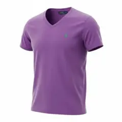 ポロ　ラルフローレン　メンズTシャツM L パープル美品