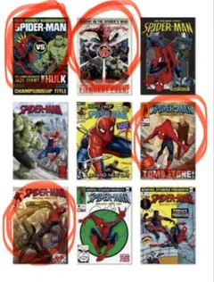 ポスター6種スパイダーマンHappyくじ/MARVEL/ブランドニューデイG賞