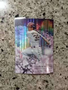 pharm様 リクエスト 2点 まとめ商品