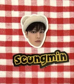 スンミン　StrayKids スキズ 展覧会 缶入りフレークシール