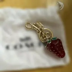 COACH イチゴ型キーホルダー 専用袋付き