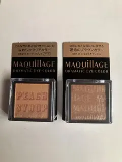 MAQUILLAGE DRAMATIC EYE COLOR 2色セット