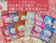 バスソルト 汗かきエステ気分 アソート 6種×2(12袋)セット
