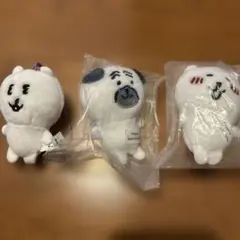 ⭐︎ナガノ ⭐︎