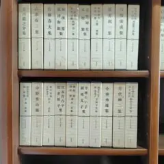 送料無料 世界文学全集 筑摩書房 ③内46-70巻 (➀②同時購入お願いします) 世界文学全集 筑摩書房 ③全70巻のうち48巻〜70巻 - メルカリ