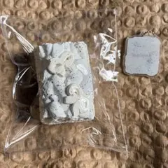 Item thumbnail for item 030babab-6255-4292-8f67-da038e3c2129