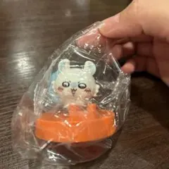 モモンガ　CoCo壱コラボ