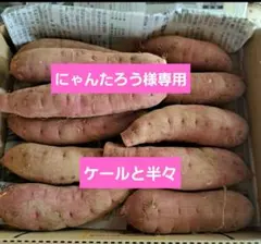 にゃんたろう様専用です。ボカシ栽培の栽培期間中農薬不使用紅はるかとケール