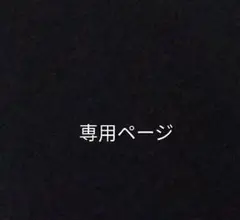 専用ページ