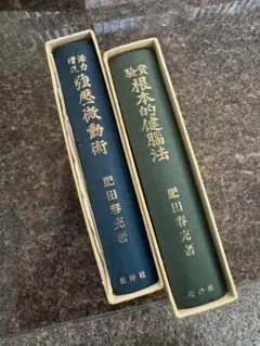 大石寺59世 堀日亨【富士日興上人祥伝】日蓮正宗 重須本門寺 - メルカリ