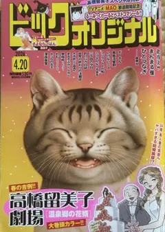 ビッグコミックオリジナル2008年24号『Dr.コトー診療所』新連載/山田