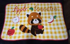 韓国のEverLandタヌキキャラクターブランケット