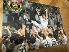 非売品 阪神タイガース 2003年 優勝記念下敷のサムネイル