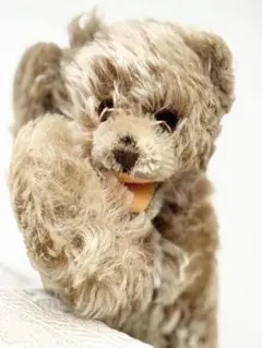 2025年最新】シュタイフ ゾッティの人気アイテム - メルカリ