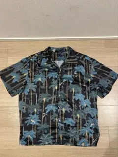 Item thumbnail for item 8436fc31-f2ce-40a7-a599-8963509e97ef