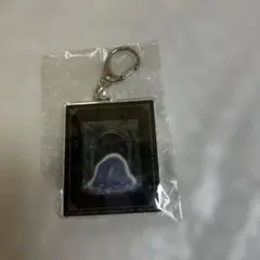 2025年最新】elden ring アクリルプレートキーホルダーの人気アイテム