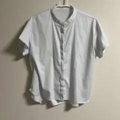 シャツ ストライプ