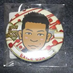 EXILE USA 缶バッチ