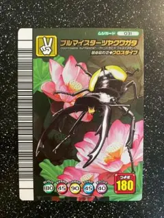 2025年最新】ブルマイスターツヤクワガタの人気アイテム - メルカリ