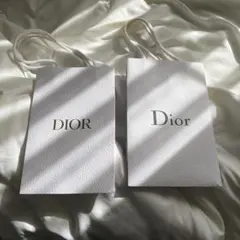 Dior ショップ袋 ホワイト 2点セット