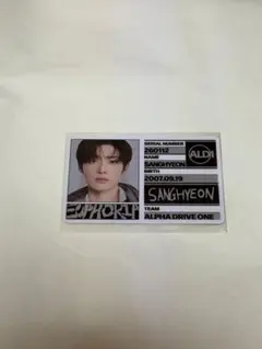 ALD1 サンヒョン IDカード