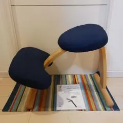 バランスチェアイージー Balans EASY Rybo社　専用カバー付