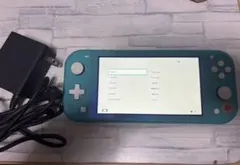 Nintendo Switch Lite ジャンク あつ森 モンハンライズ付き - メルカリ