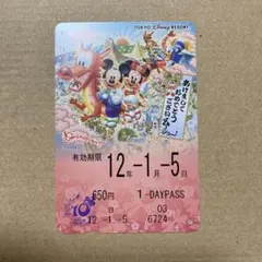 ディズニーフリーきっぷ　辰年お正月