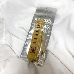 嵐 ラゲッジマーク BEAMS 二宮和也 黄 アラフェス2020 キーホルダー 嵐 ラゲッジマーク BEAMS 二宮和也 黄 アラフェス2020 キーホルダー