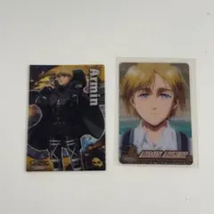 アルミン 2枚セット