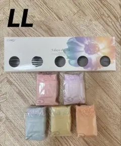 5 days shorts LLサイズ 5枚セット