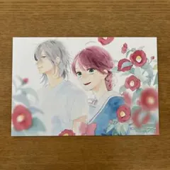 やまもり三香 椿町ロンリープラネット 特典イラストカード ポストカード６枚セット やまもり三香 椿町ロンリープラネット 特典イラストカード
