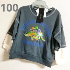 100☆スパンコール　恐竜　デザイン　カットソー　長袖　❇新品❇男の子❇