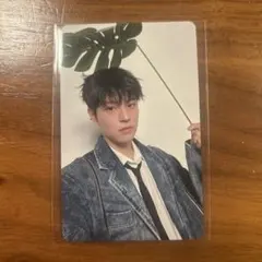 stray kids エコパ 静岡 5/17 会場限定 トレカ