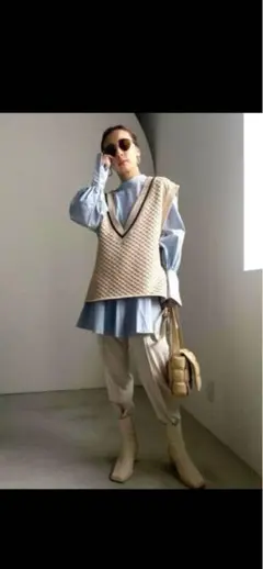 アメリ　ニットベストのみ　Fサイズ