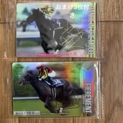 サラブレッドカード