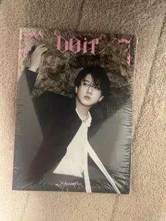 スキズ　straykids チャンビン accordion do it 開封済み