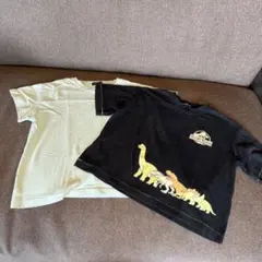 グリーンレーベルリラクシング キッズ Tシャツ 2枚セット 110cmのサムネイル