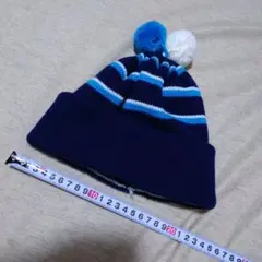 Item thumbnail for item c87cb4c6-14fe-44df-a228-6aaf9841c84d