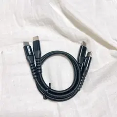 USB Type C ケーブル 0.3M 2本組 PD対応 60W 急速充電