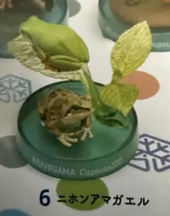 【匿名発送】旭山動物園ヴィネットvol.5 ニホンアマガエル ガチャ