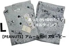 Item thumbnail for item 21f23f00-a00b-412b-a4d5-cdce0697ec3c